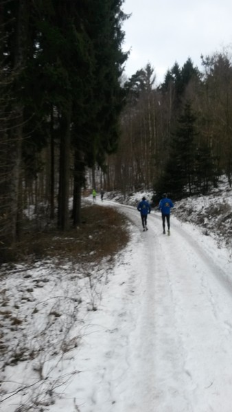 2015 winterlaufserie lorsbach 05