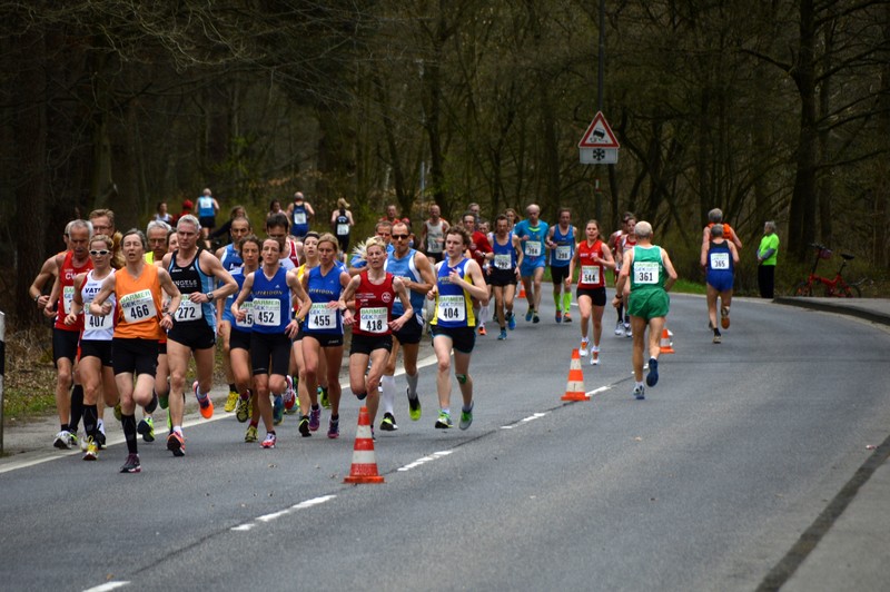 2013 dm halbmarathon 2